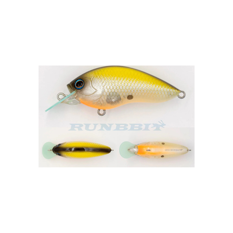 Grassroots Runnbbit 58 F 007